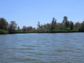 34D