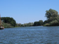 39C