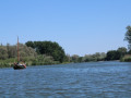 39D
