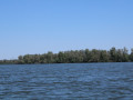 40A